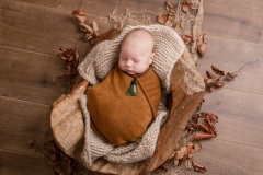 Beau-094A5568-95