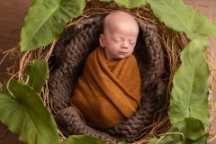 Beau-Harry-1094A6753-95