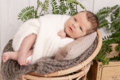 Beau-Seraphim-71094A8066-95