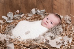 Beau-Theo-1094A7364-95