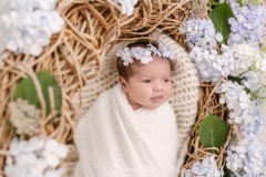 Cellina-094A4930-203