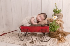 web-Everlyn-094A8761-229-151