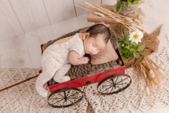 web-Everlyn-094A8770-235-152