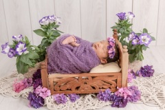 web-Fatima-094A8811-261-171