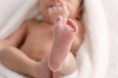 web-Ilias-094A6525-207-132