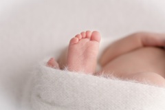 web-Luca-094A1366-141-166