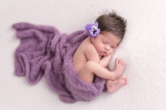 web-Prisha-094A4712-213-106