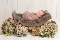 web-Sadie-094A6743-167-130