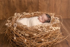 web-Viraj-094A1951-95-105