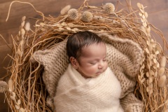 web-Viraj-094A1957-101-106